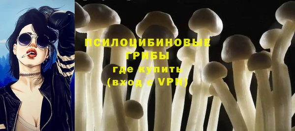 гидра Лиски